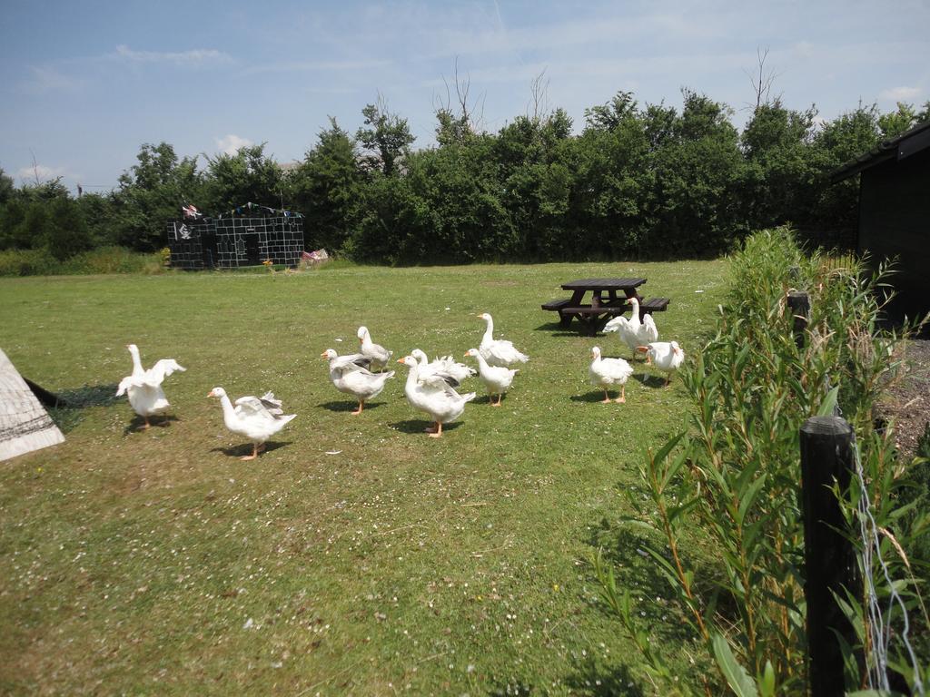 Willow Court Farm The Lodge & Petting Farm, 8 Mins From Legoland & Windsor, 15 Mins From Lapland Uk Exterior foto